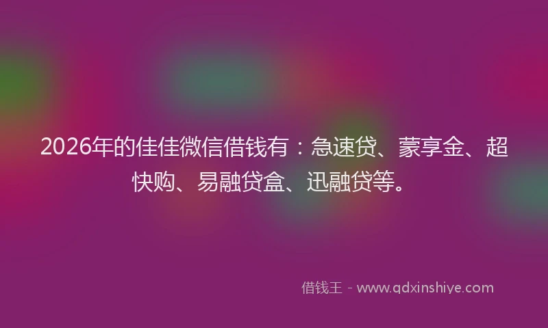 2026年的佳佳微信借钱有：急速贷、蒙享金、超快购、易融贷盒、迅融贷等。