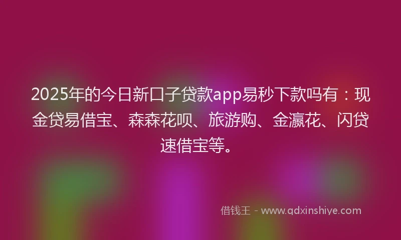 2025年的今日新口子贷款app易秒下款吗有:现金贷易借宝、森森花呗、旅游购、金瀛花、闪贷速借宝等。