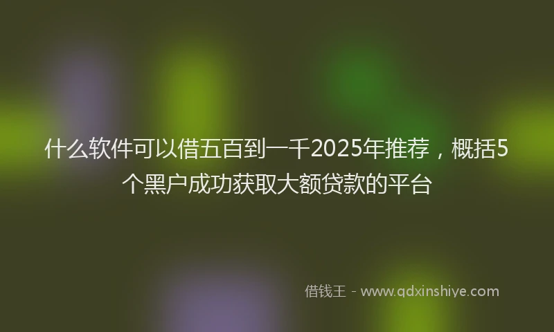 什么软件可以借五百到一千2025年推荐，概括5个黑户成功获取大额贷款的平台