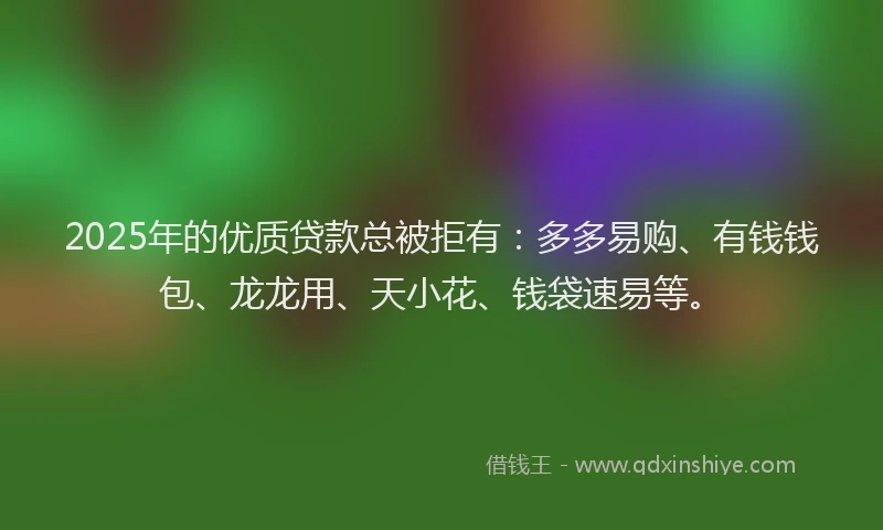 2025年的优质贷款总被拒有：多多易购、有钱钱包、龙龙用、天小花、钱袋速易等。
