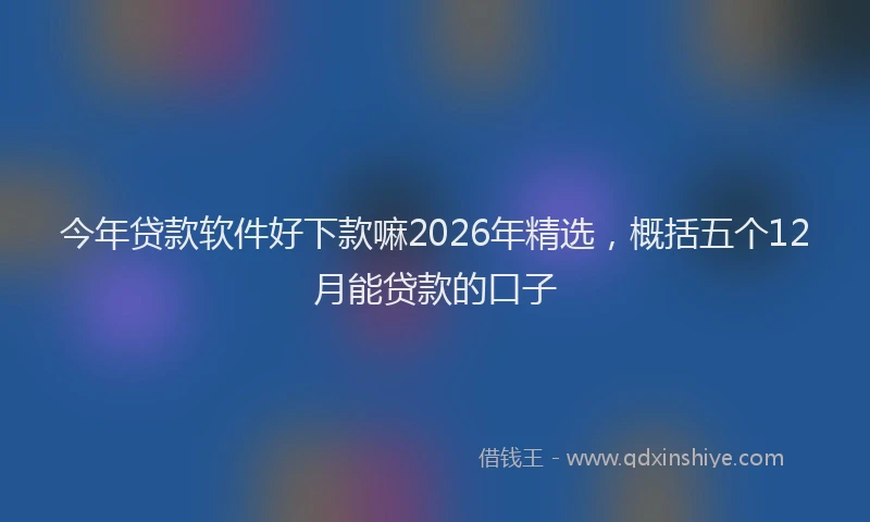 今年贷款软件好下款嘛2026年精选,概括五个12月能贷款的口子