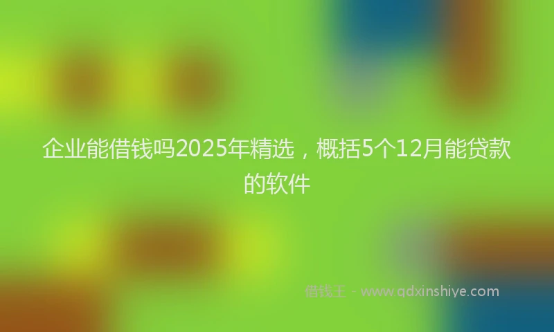 企业能借钱吗2025年精选，概括5个12月能贷款的软件