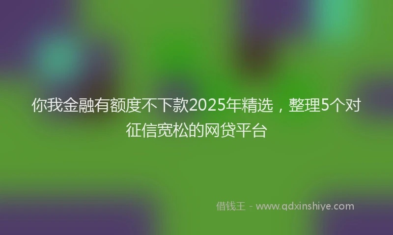 你我金融有额度不下款2025年精选，整理5个对征信宽松的网贷平台