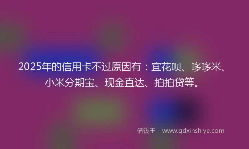 2025年的信用卡不过原因有:宜花呗、哆哆米、小米分期宝、现金直达、拍拍贷等。