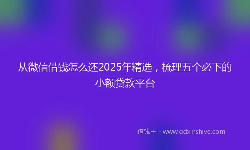 从微信借钱怎么还2025年精选，梳理五个必下的小额贷款平台