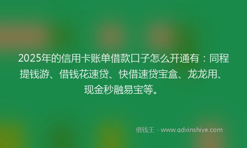 2025年的信用卡账单借款口子怎么开通有:同程提钱游、借钱花速贷、快借速贷宝盒、龙龙用、现金秒融易宝等。