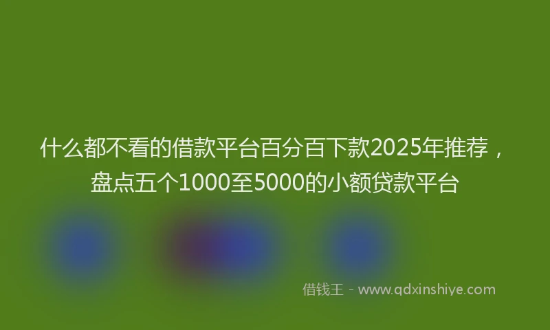 什么都不看的借款平台百分百下款2025年推荐，盘点五个1000至5000的小额贷款平台