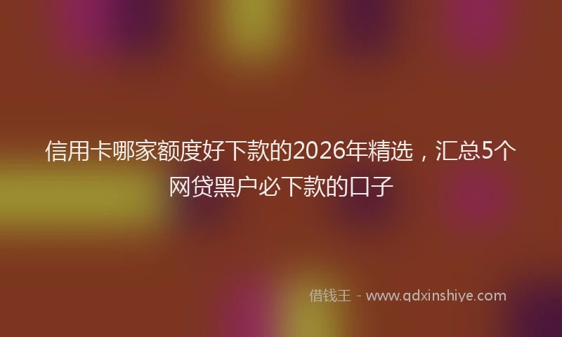 信用卡哪家额度好下款的2026年精选，汇总5个网贷黑户必下款的口子