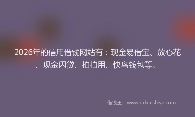 2026年的信用借钱网站有：现金易借宝、放心花、现金闪贷、拍拍用、快鸟钱包等。