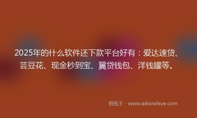 2025年的什么软件还下款平台好有：爱达速贷、芸豆花、现金秒到宝、翼贷钱包、洋钱罐等。