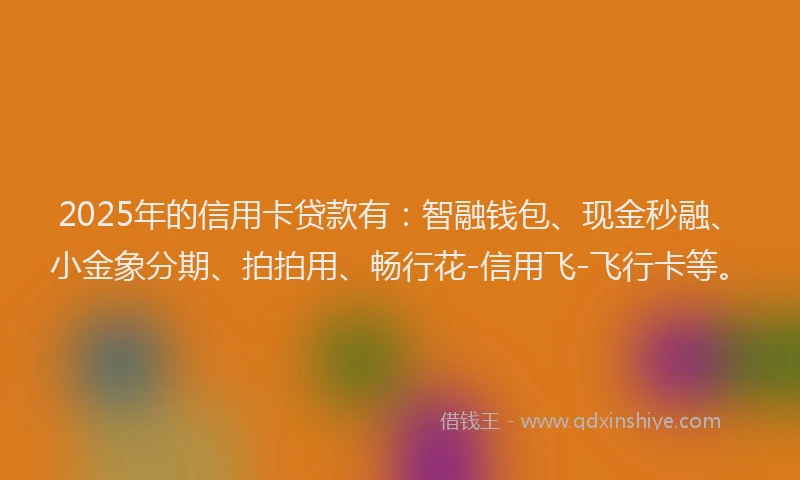 2025年的信用卡贷款有：智融钱包、现金秒融、小金象分期、拍拍用、畅行花-信用飞-飞行卡等。