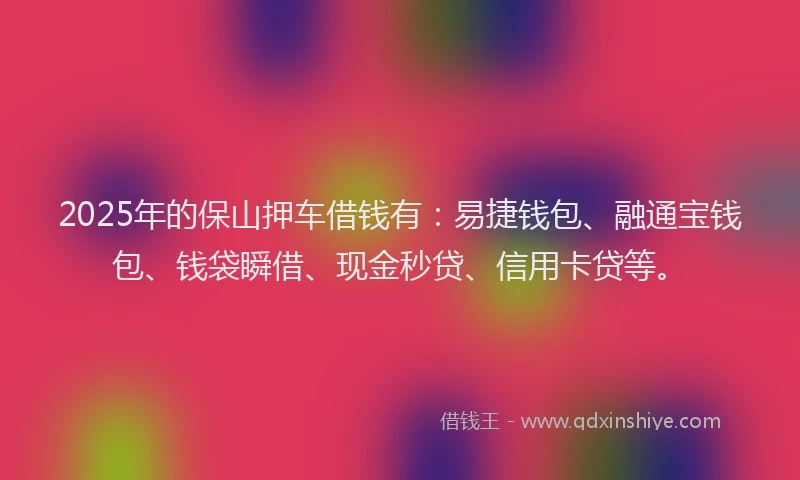 2025年的保山押车借钱有：易捷钱包、融通宝钱包、钱袋瞬借、现金秒贷、信用卡贷等。