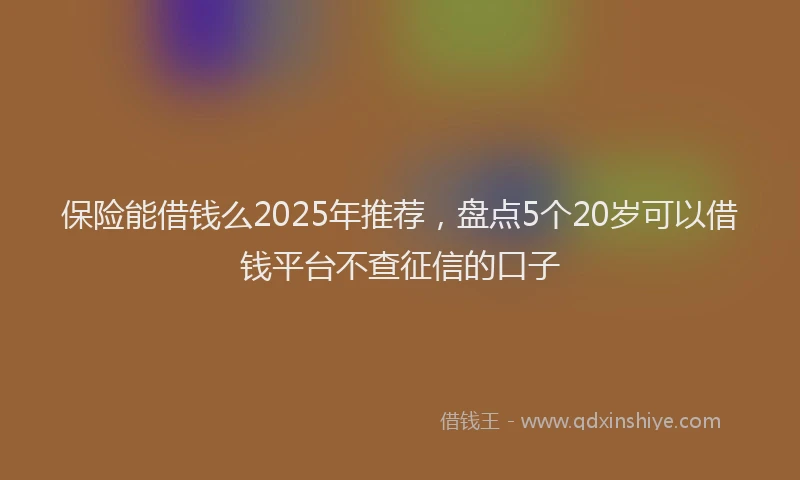 保险能借钱么2025年推荐，盘点5个20岁可以借钱平台不查征信的口子