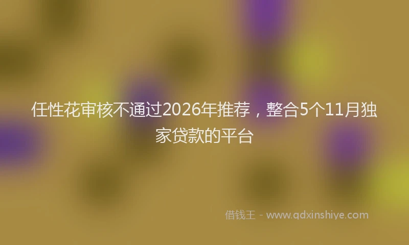 任性花审核不通过2026年推荐，整合5个11月独家贷款的平台