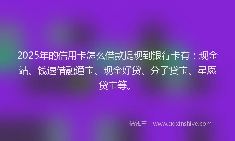 2025年的信用卡怎么借款提现到银行卡有:现金站、钱速借融通宝、现金好贷、分子贷宝、星愿贷宝等。