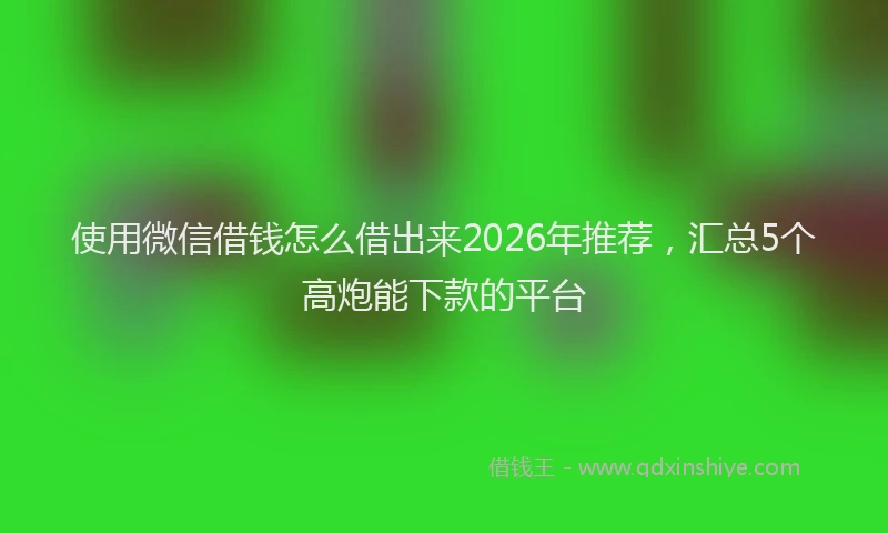 使用微信借钱怎么借出来2026年推荐，汇总5个高炮能下款的平台