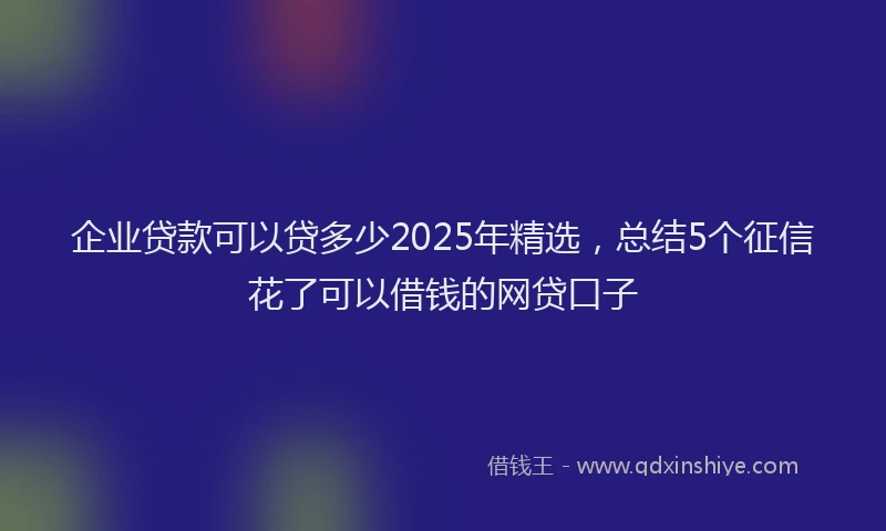 企业贷款可以贷多少2025年精选，总结5个征信花了可以借钱的网贷口子