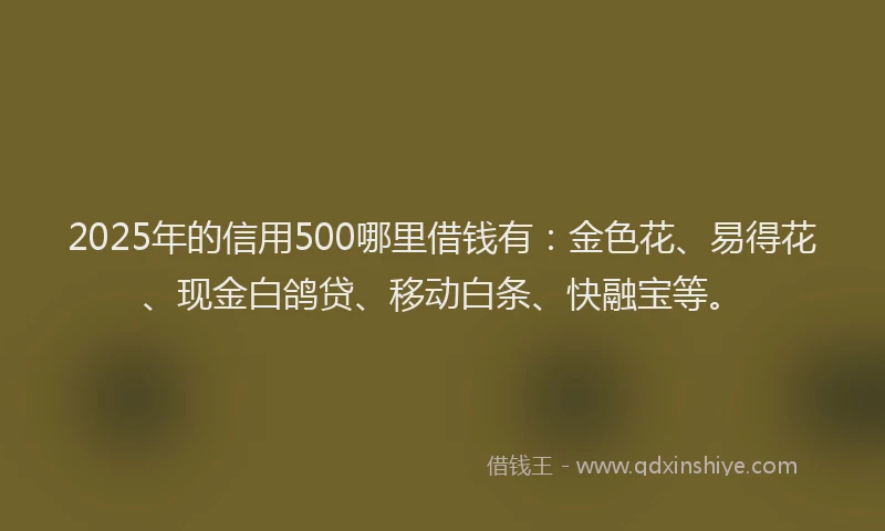 2025年的信用500哪里借钱有:金色花、易得花、现金白鸽贷、移动白条、快融宝等。