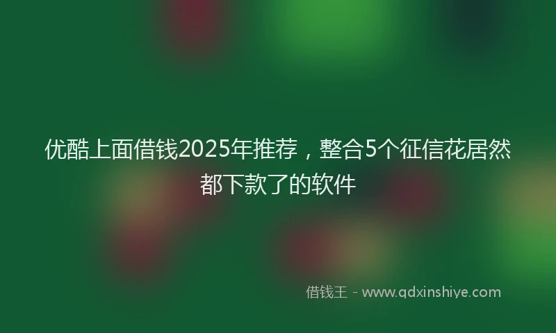 优酷上面借钱2025年推荐,整合5个征信花居然都下款了的软件