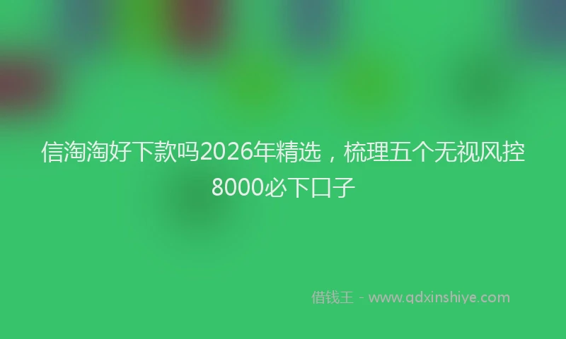 信淘淘好下款吗2026年精选，梳理五个无视风控8000必下口子