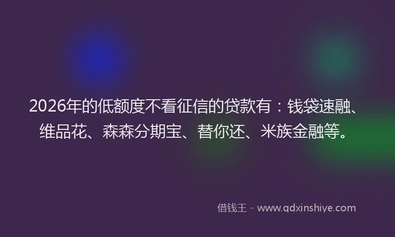 2026年的低额度不看征信的贷款有：钱袋速融、维品花、森森分期宝、替你还、米族金融等。