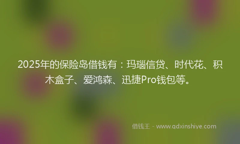 2025年的保险岛借钱有：玛瑙信贷、时代花、积木盒子、爱鸿森、迅捷Pro钱包等。