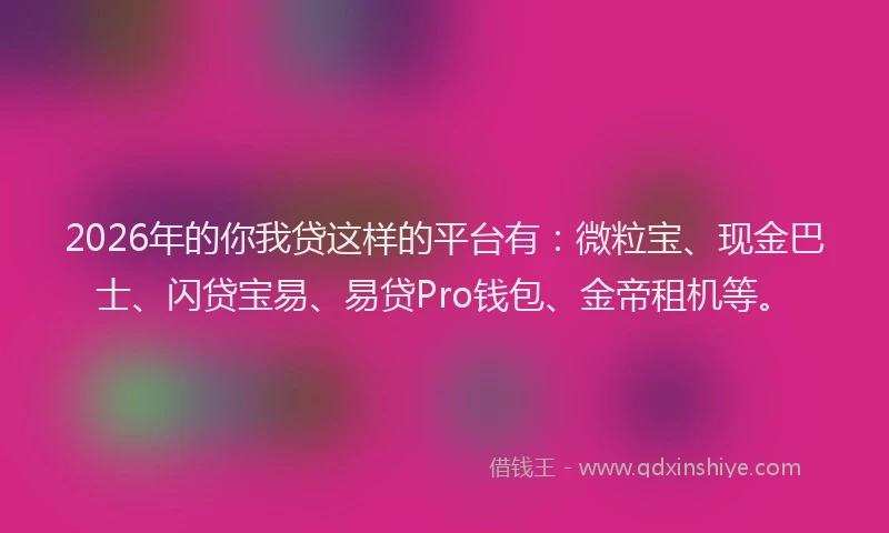 2026年的你我贷这样的平台有：微粒宝、现金巴士、闪贷宝易、易贷Pro钱包、金帝租机等。