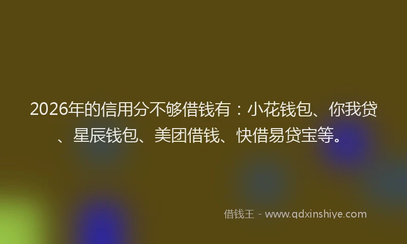 2026年的信用分不够借钱有：小花钱包、你我贷、星辰钱包、美团借钱、快借易贷宝等。