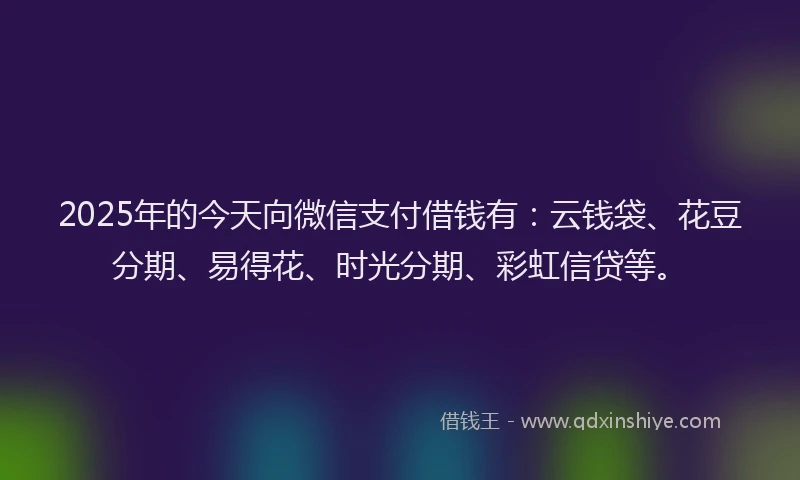 2025年的今天向微信支付借钱有:云钱袋、花豆分期、易得花、时光分期、彩虹信贷等。
