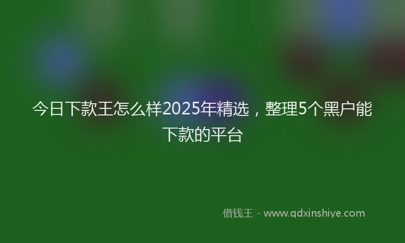 今日下款王怎么样2025年精选，整理5个黑户能下款的平台