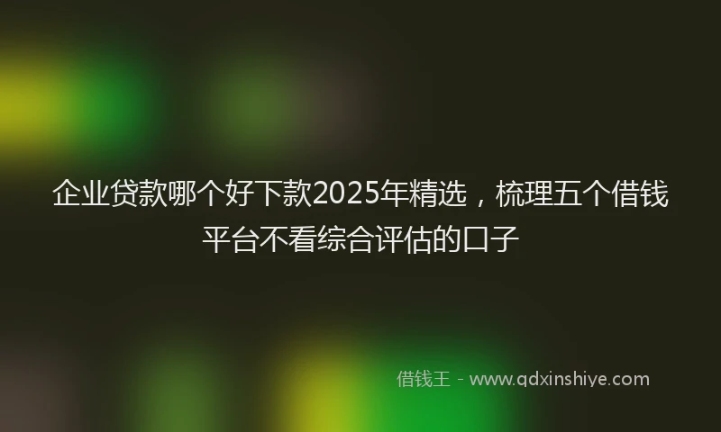企业贷款哪个好下款2025年精选，梳理五个借钱平台不看综合评估的口子