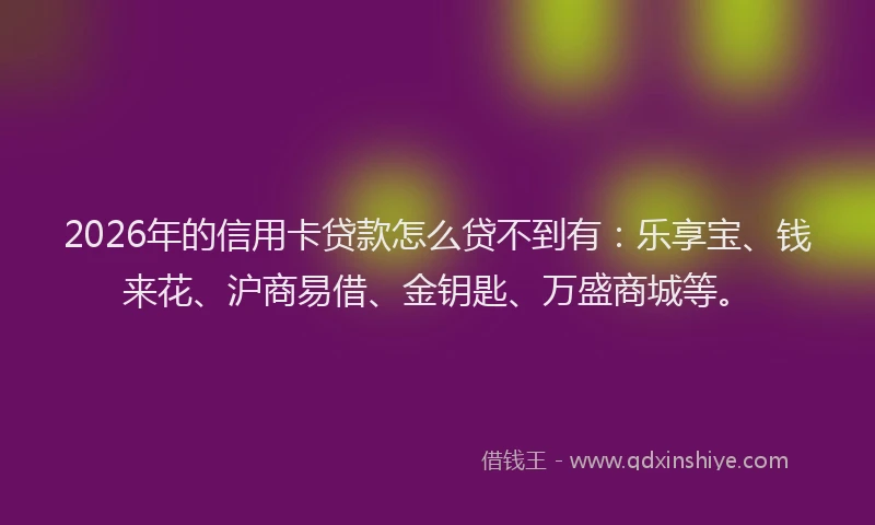 2026年的信用卡贷款怎么贷不到有：乐享宝、钱来花、沪商易借、金钥匙、万盛商城等。