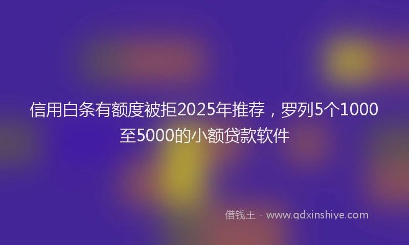 信用白条有额度被拒2025年推荐，罗列5个1000至5000的小额贷款软件