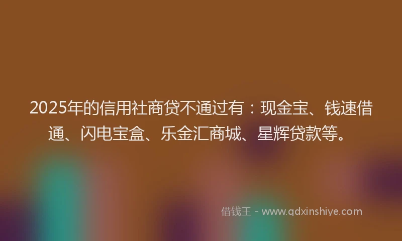 2025年的信用社商贷不通过有：现金宝、钱速借通、闪电宝盒、乐金汇商城、星辉贷款等。