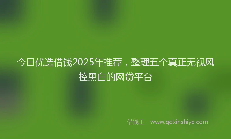 今日优选借钱2025年推荐，整理五个真正无视风控黑白的网贷平台