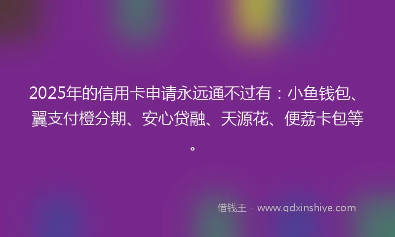 2025年的信用卡申请永远通不过有：小鱼钱包、翼支付橙分期、安心贷融、天源花、便荔卡包等。