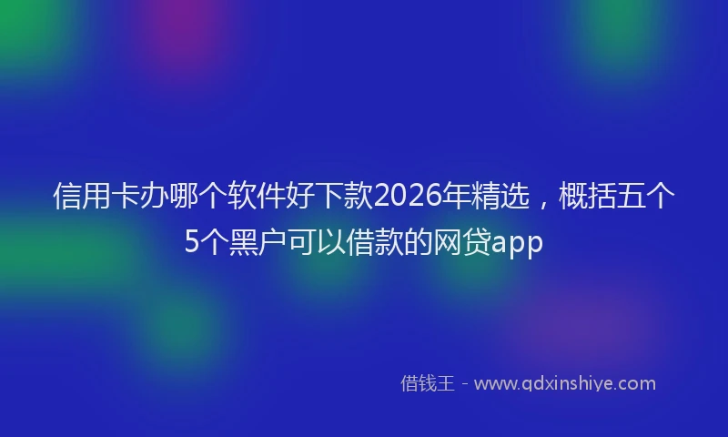 信用卡办哪个软件好下款2026年精选，概括五个5个黑户可以借款的网贷app