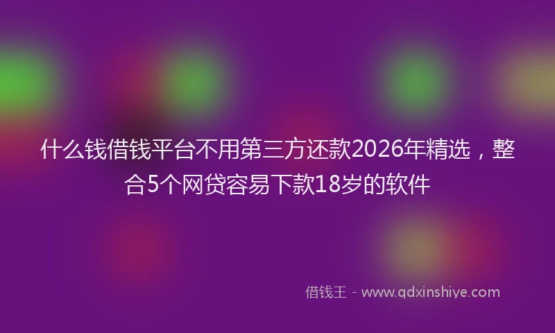 什么钱借钱平台不用第三方还款2026年精选，整合5个网贷容易下款18岁的软件
