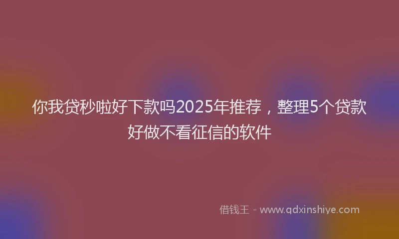 你我贷秒啦好下款吗2025年推荐,整理5个贷款好做不看征信的软件