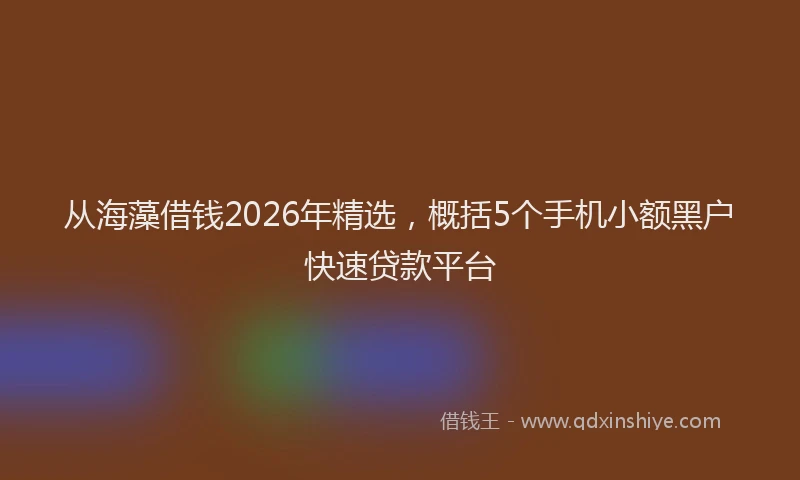从海藻借钱2026年精选,概括5个手机小额黑户快速贷款平台