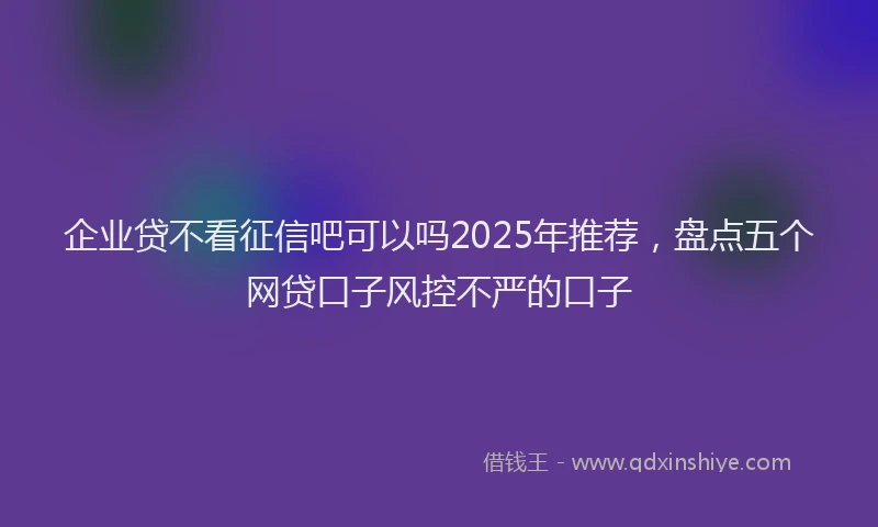 企业贷不看征信吧可以吗2025年推荐，盘点五个网贷口子风控不严的口子