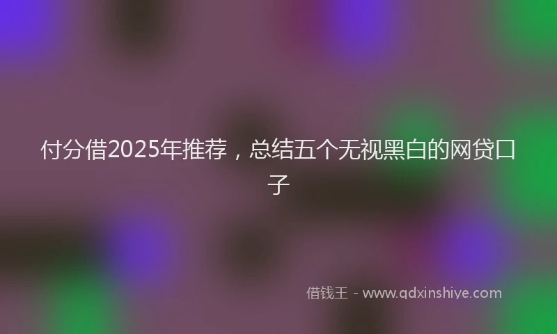 付分借2025年推荐,总结五个无视黑白的网贷口子