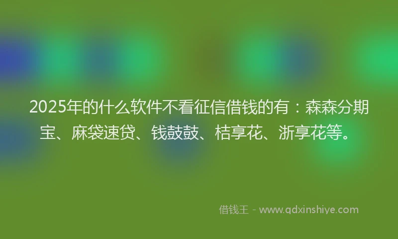 2025年的什么软件不看征信借钱的有：森森分期宝、麻袋速贷、钱鼓鼓、桔享花、浙享花等。