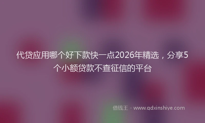 代贷应用哪个好下款快一点2026年精选，分享5个小额贷款不查征信的平台