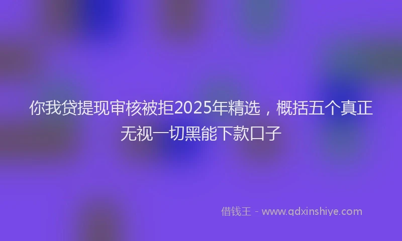 你我贷提现审核被拒2025年精选，概括五个真正无视一切黑能下款口子