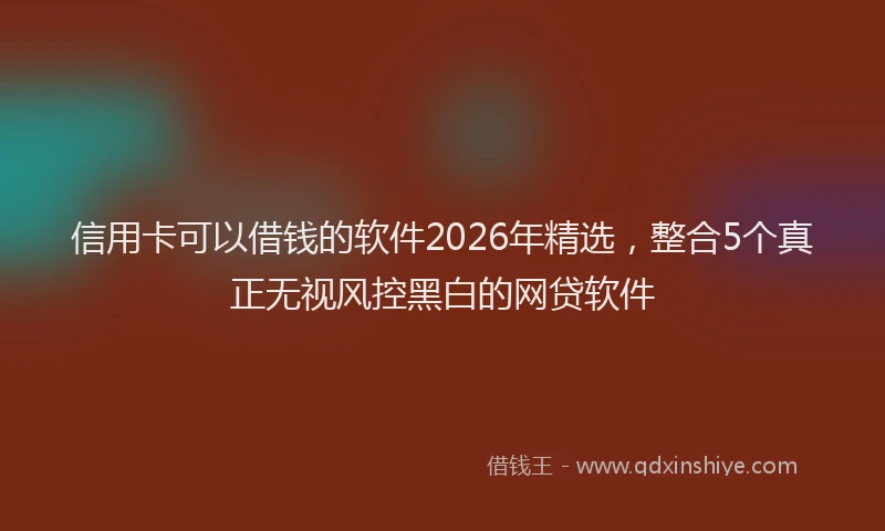信用卡可以借钱的软件2026年精选，整合5个真正无视风控黑白的网贷软件