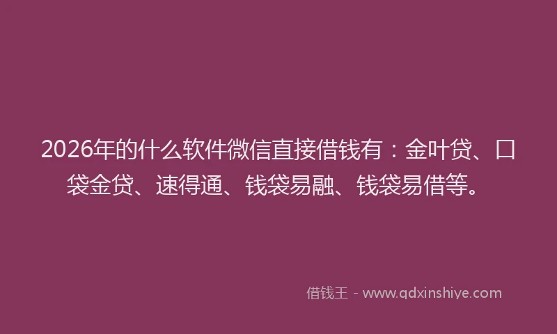 2026年的什么软件微信直接借钱有：金叶贷、口袋金贷、速得通、钱袋易融、钱袋易借等。