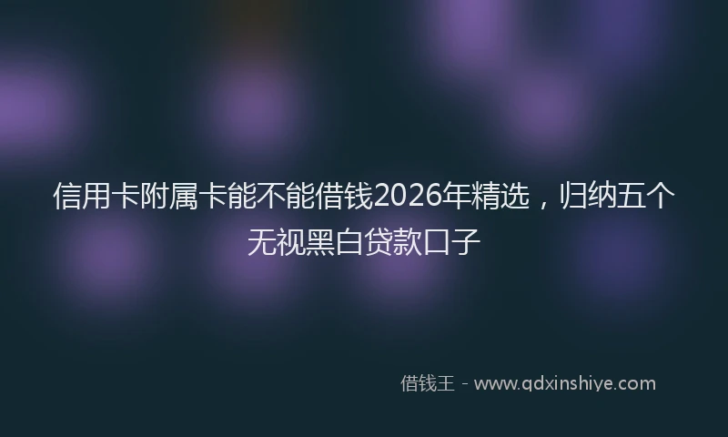 信用卡附属卡能不能借钱2026年精选，归纳五个无视黑白贷款口子