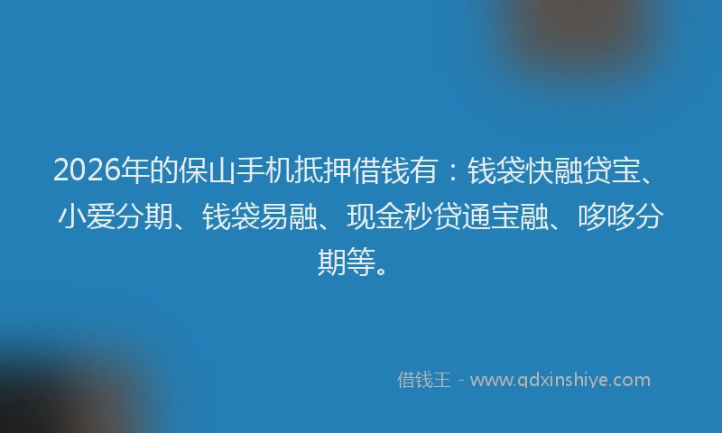 2026年的保山手机抵押借钱有：钱袋快融贷宝、小爱分期、钱袋易融、现金秒贷通宝融、哆哆分期等。
