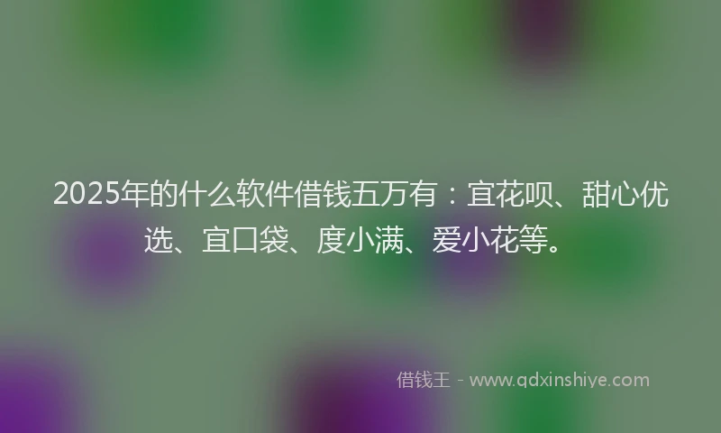 2025年的什么软件借钱五万有：宜花呗、甜心优选、宜口袋、度小满、爱小花等。